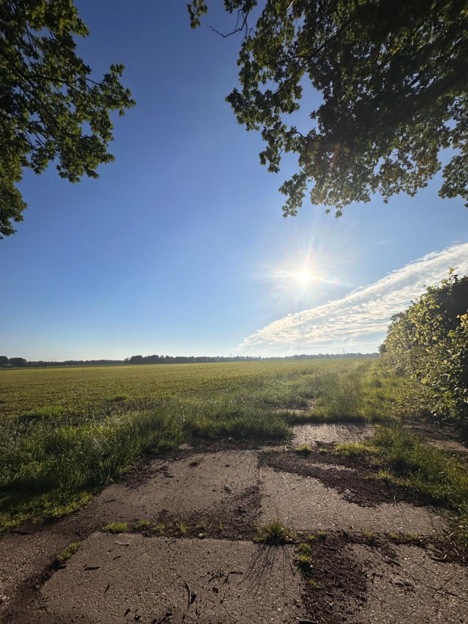B&B Het Kleine Huisje Emmen Bagian luar foto